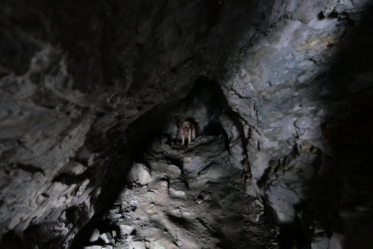 Cave Wall. The inside of a sea cave, almost all shadow.