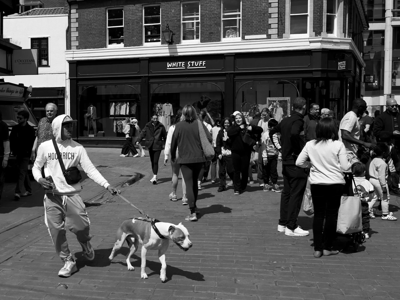 Sunday. A dog leads the way through the Sunday crowd.